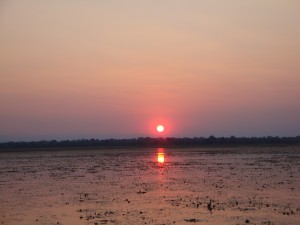 DSC04878
