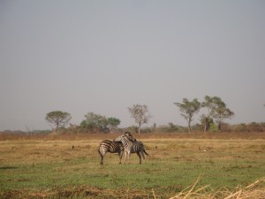 DSC04906