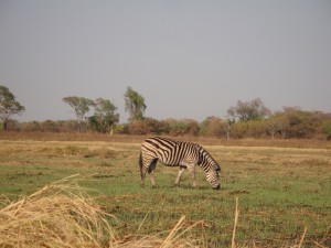 DSC04915